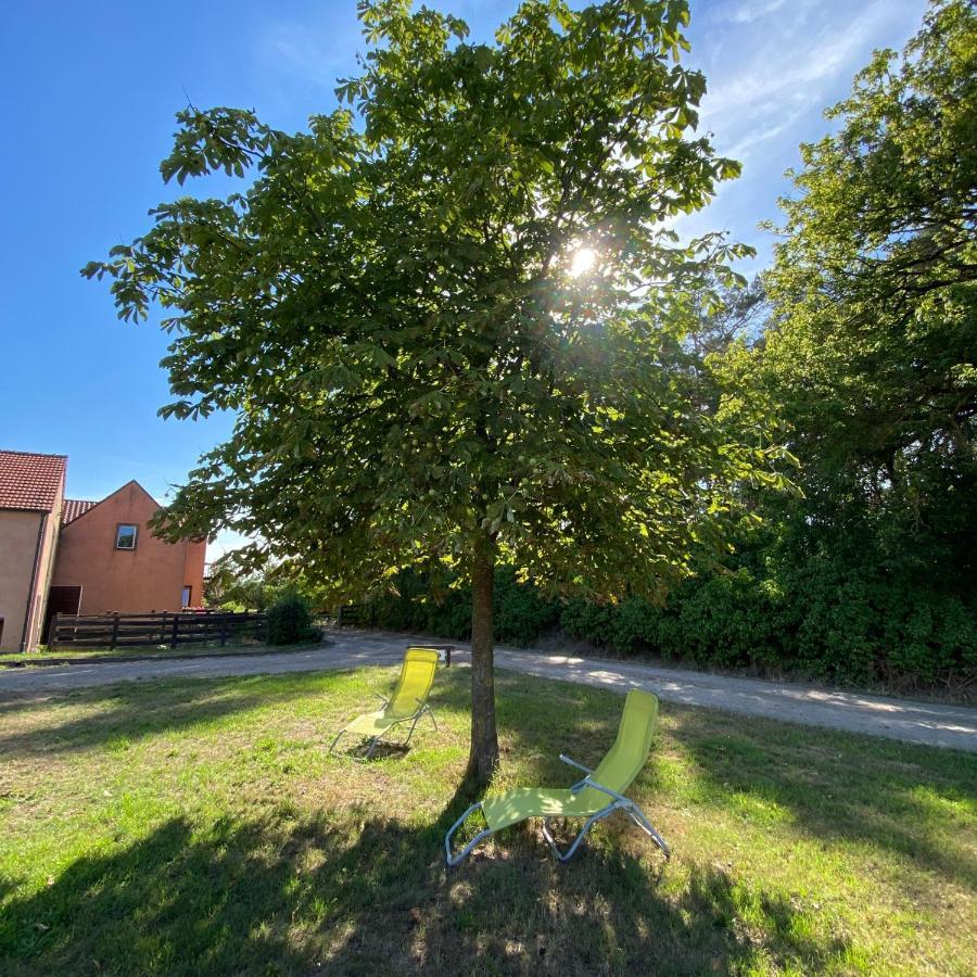 Dreetz Ferienwohnung Auf Pferdehof מראה חיצוני תמונה