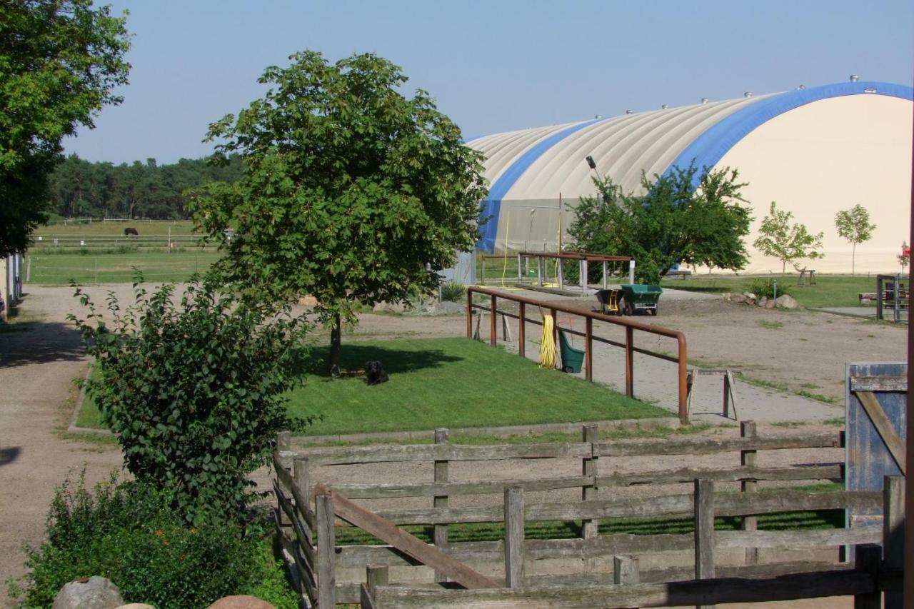 Dreetz Ferienwohnung Auf Pferdehof מראה חיצוני תמונה