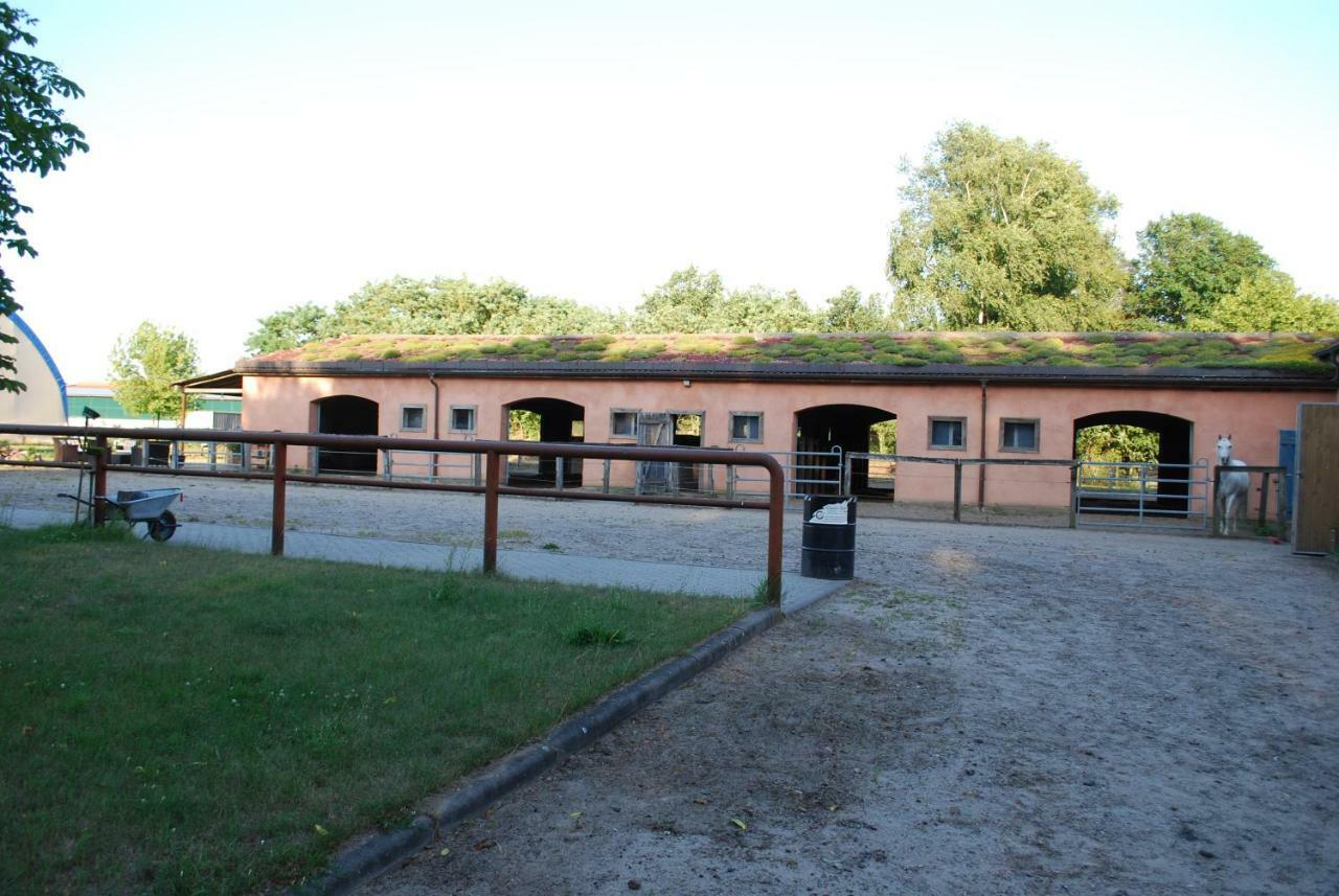 Dreetz Ferienwohnung Auf Pferdehof מראה חיצוני תמונה