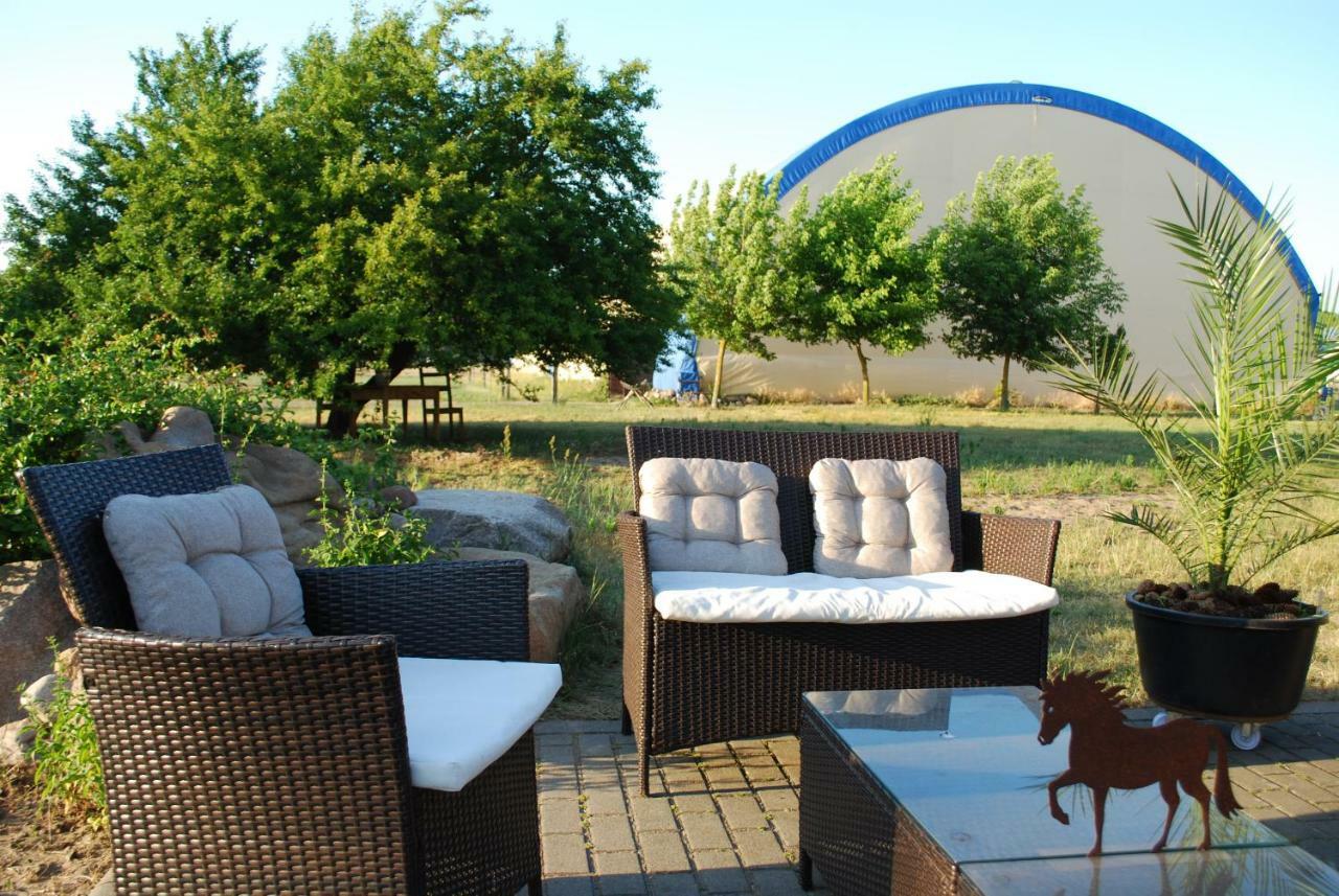 Dreetz Ferienwohnung Auf Pferdehof מראה חיצוני תמונה