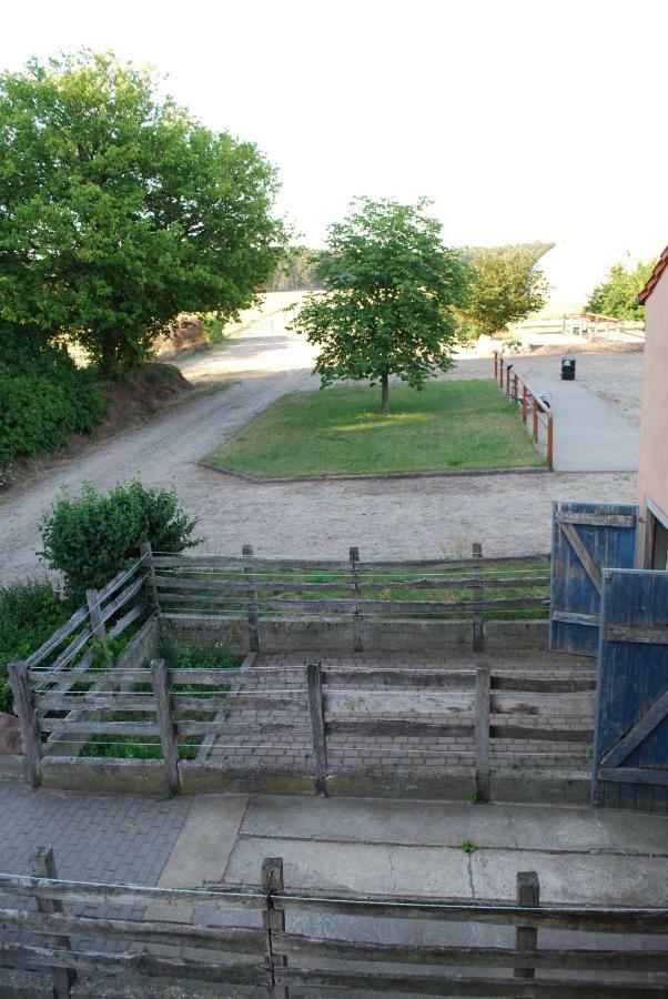 Dreetz Ferienwohnung Auf Pferdehof מראה חיצוני תמונה
